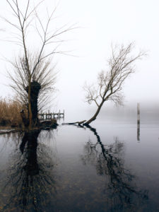 Seeufer im herbstlichen Nebel Seeufer im herbstlichen Nebel
